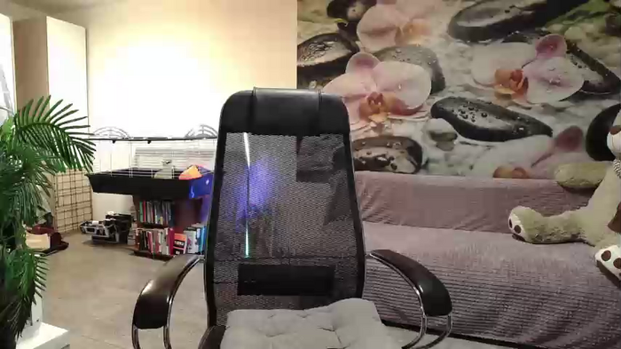 jennycutey