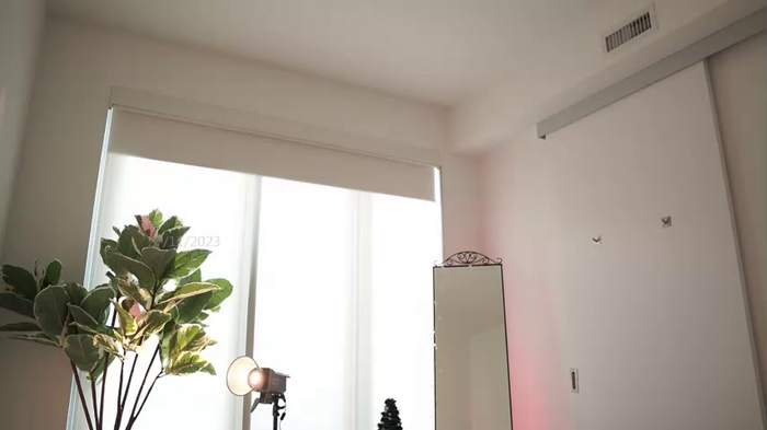 letiziafulkers1