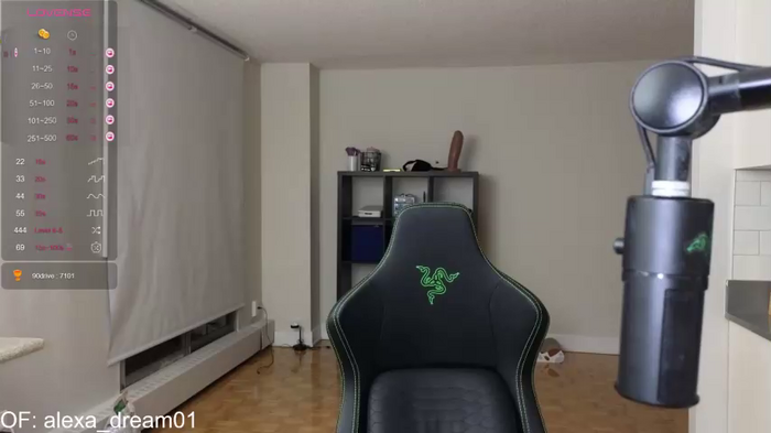 alexa_dream