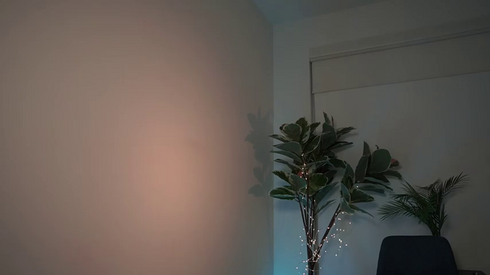letiziafulkers1