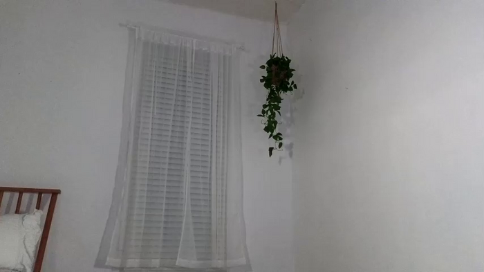 littlegreekflower