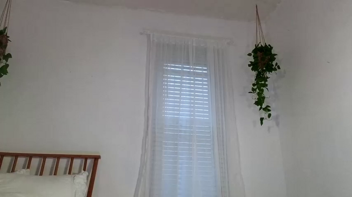 littlegreekflower
