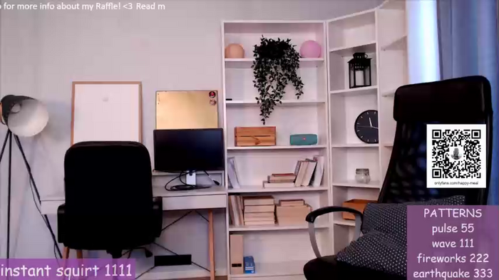 webcamrecording