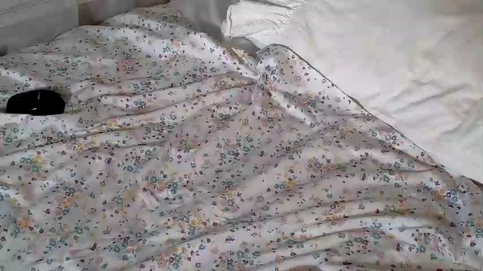 littlegreekflower