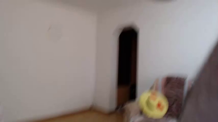 adriana_elvis