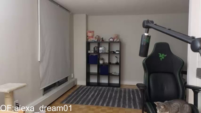 alexa_dream