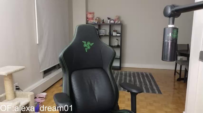 alexa_dream