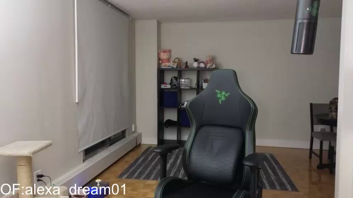 alexa_dream