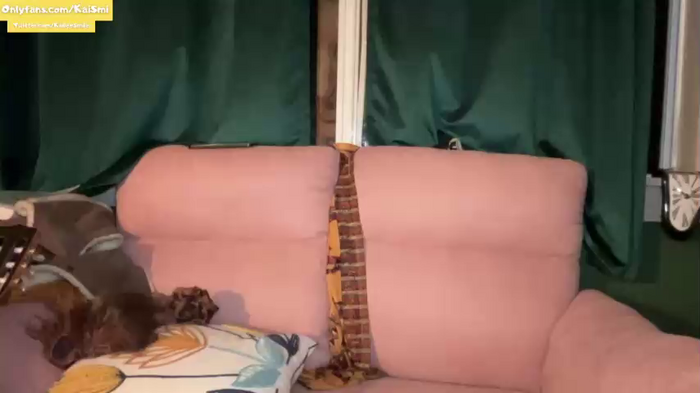 kaileeshy