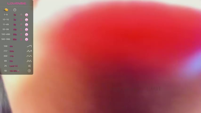 riskyproject