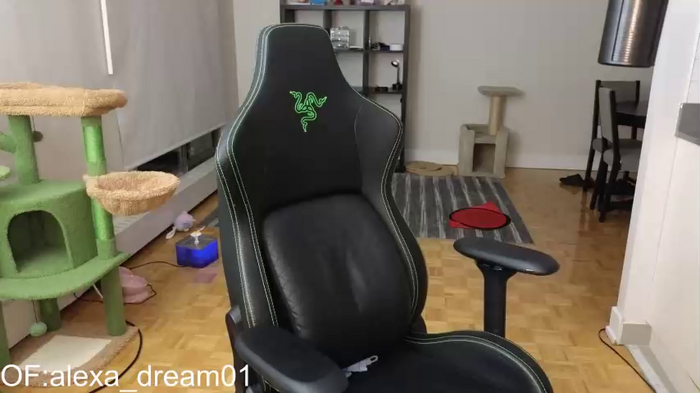 alexa_dream