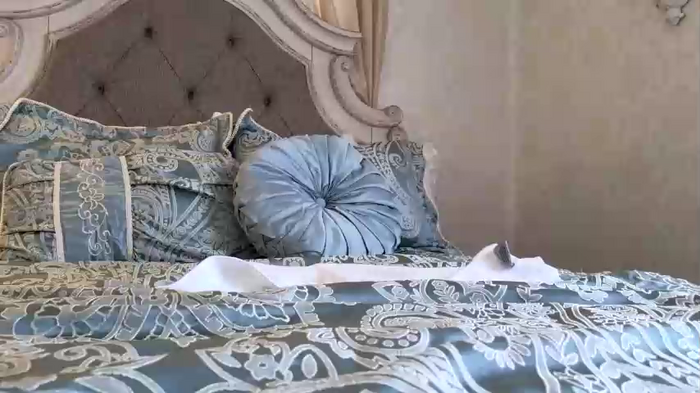littlegreekflower