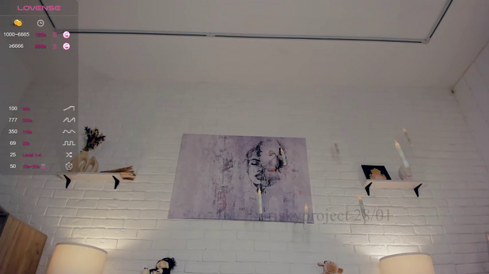 riskyproject