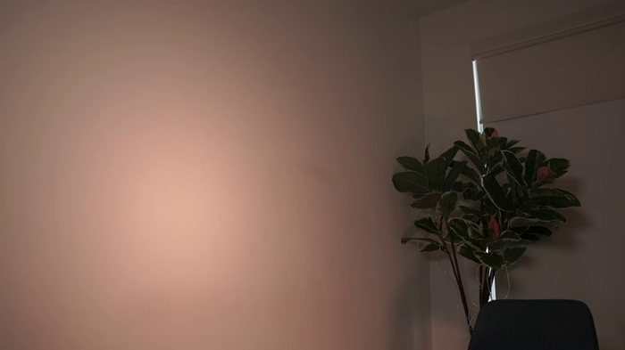 letiziafulkers1