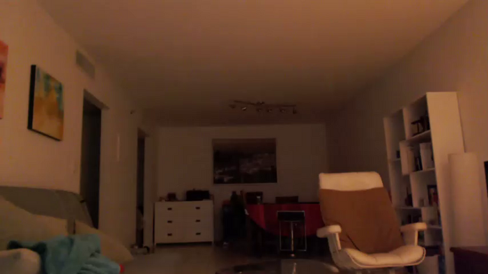 frenchava