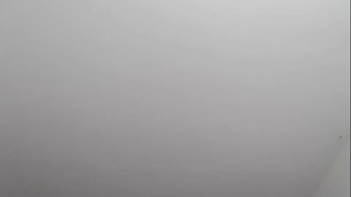 frenchava