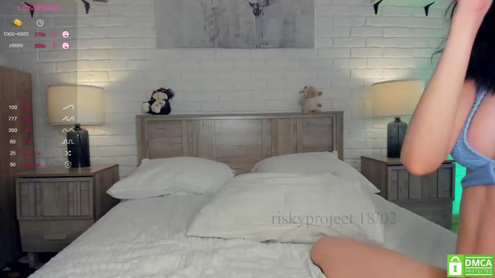 riskyproject