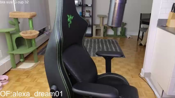 alexa_dream