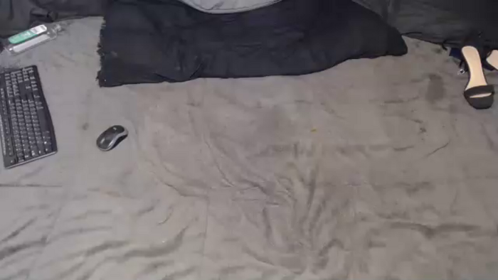 elgsslt