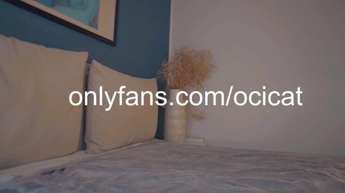 ocicat