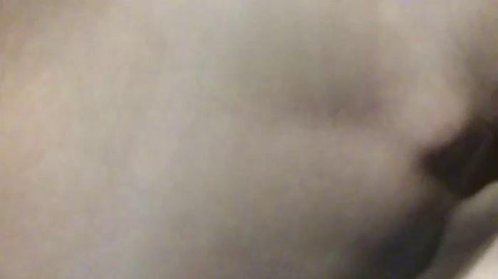 littlegreekflower