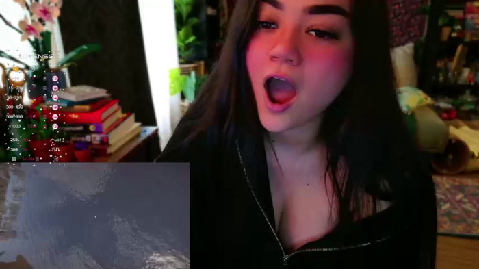 annatigarr