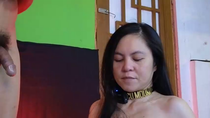 angelinasia