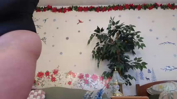 aliceriverscam