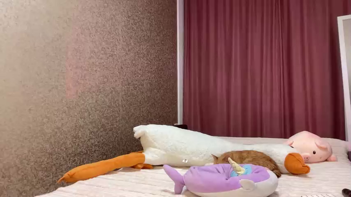 totallytiny_