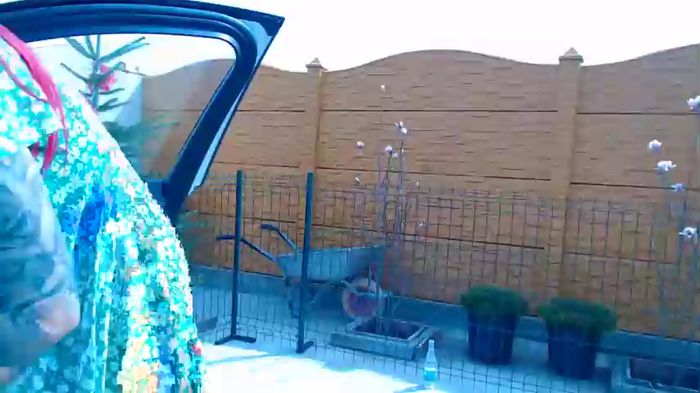 lettali