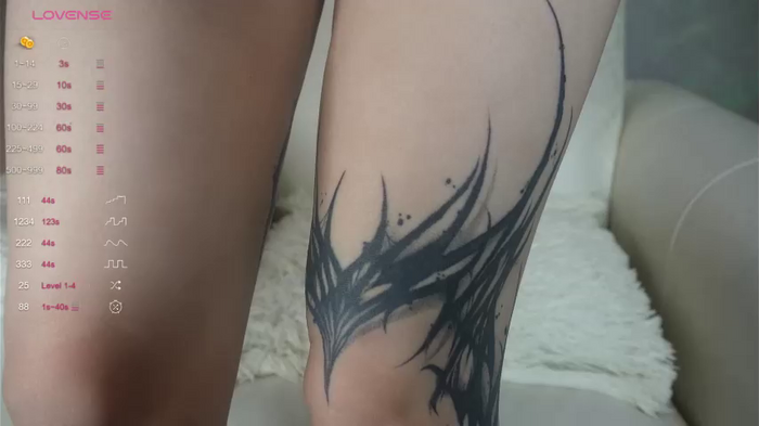 shycinderella