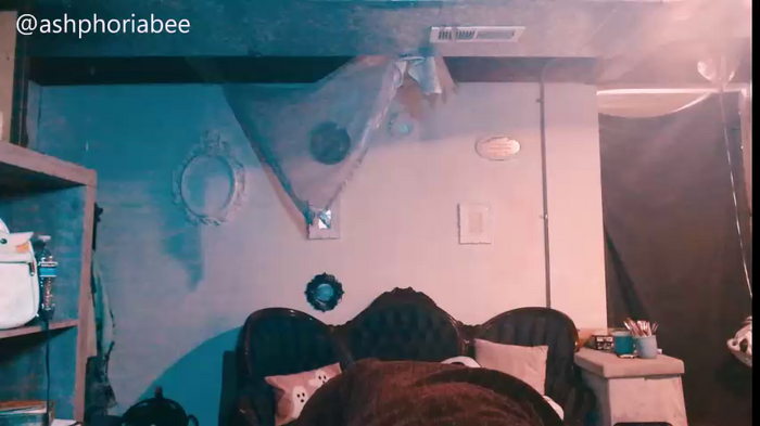 bakedlikecupcakes