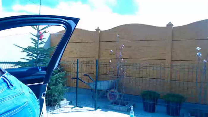 lettali