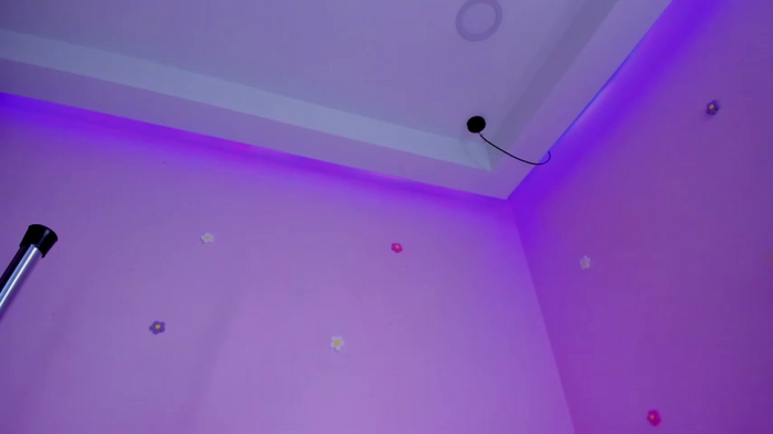 bella_adams_