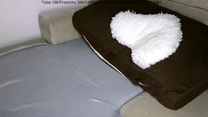 bella_alice
