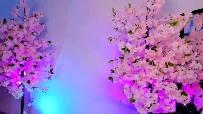 jessiccaburns