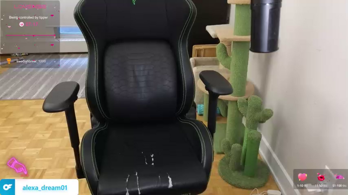 alexa_dream