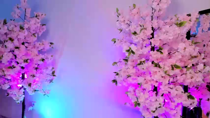jessiccaburns