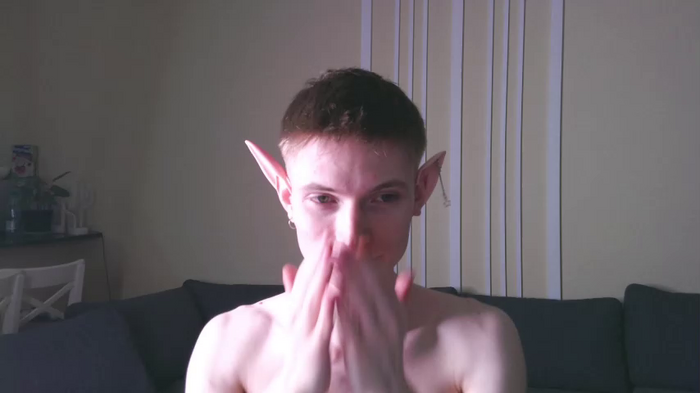 viksons