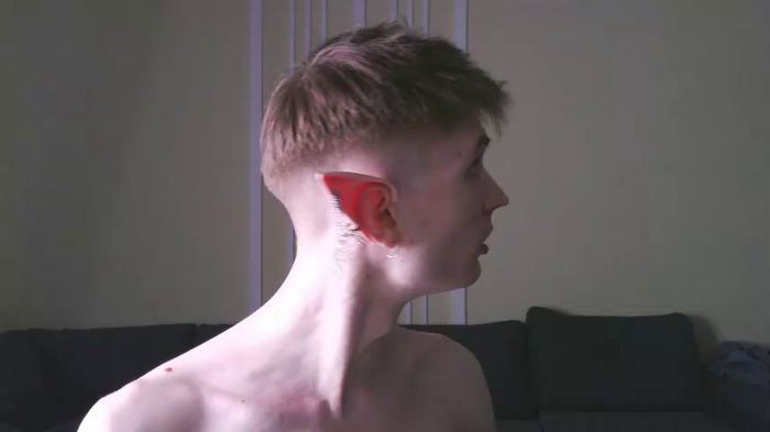 viksons