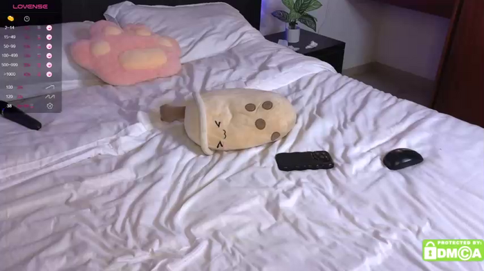 mexxicams
