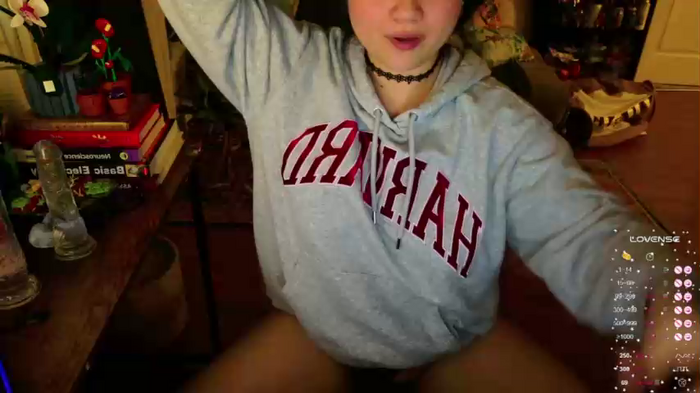 annatigarr