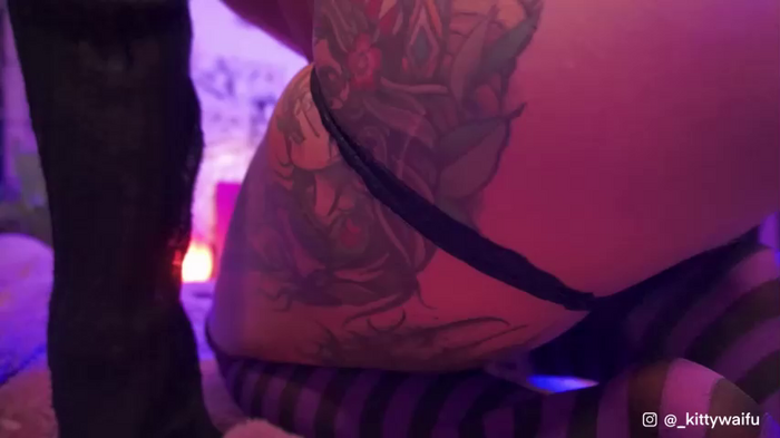 kittymolly_