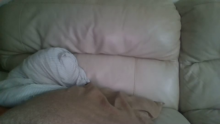 bigdicktrannynicole