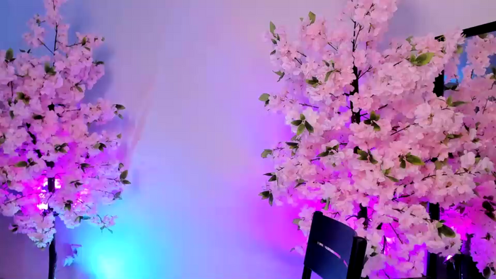 jessiccaburns