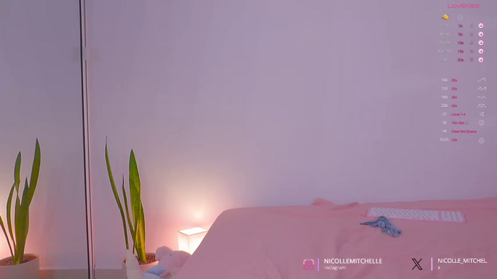 nicolle_mitchelle