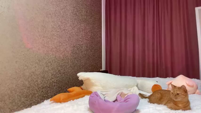 totallytiny_