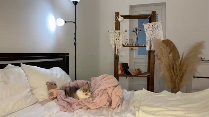 cuteelsa_