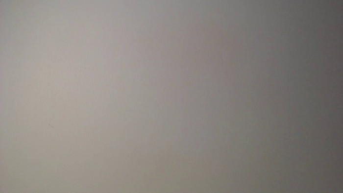 trixie_taylor