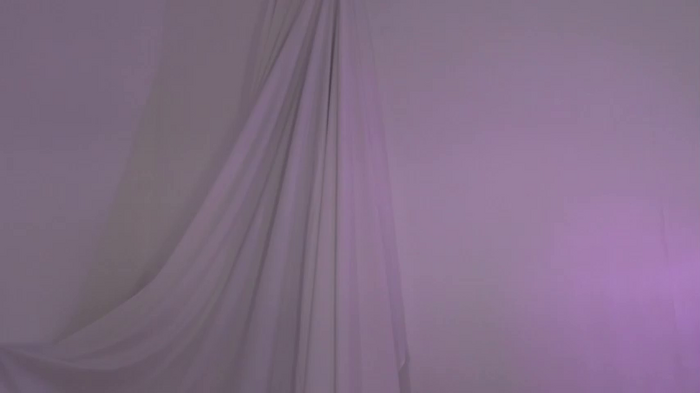 elena_li